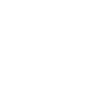 LinkedIn Icon